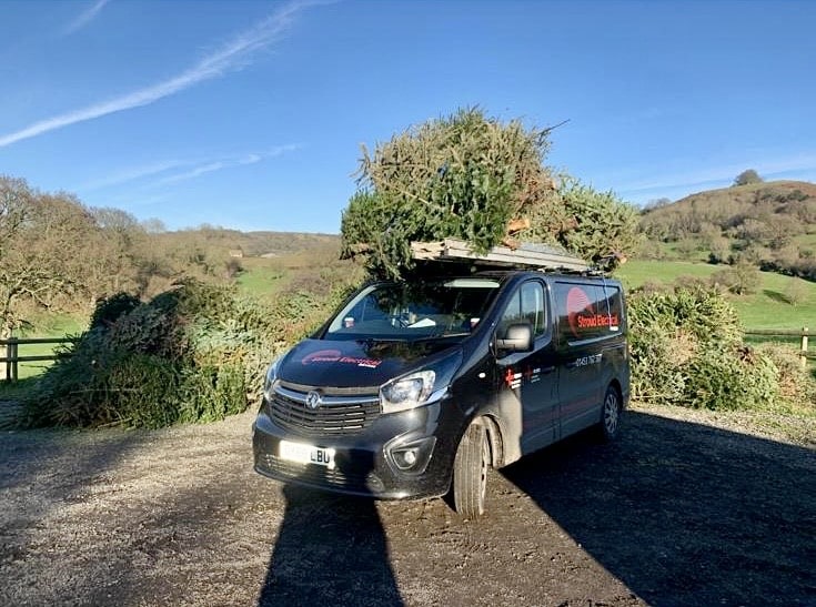 Longfield Community Hospice Christmas Tree Collection - Stroud Electrical