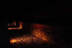 New-build Hartley Botanic greenhouse with electrical installation by Stroud Electrical Services