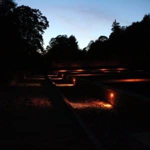 Power and lighting circuits run discreetly through the new Hartley Botanic greenhouse